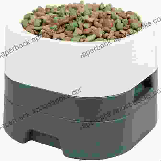 A Bowl Of Dog Food Terripoo Dog : Complete Owners Guide Acquisition Cost Care Proper Care Proper Health And Diet Of Your Amazing Pet