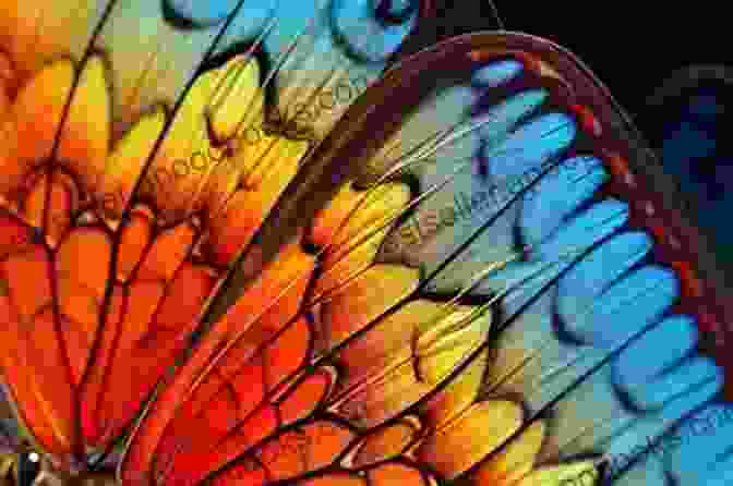 A Close Up Photograph Of A Butterfly's Wing, Showcasing Its Vibrant Iridescent Colors. Weaving Iridescence: Color Play For The Handweaver