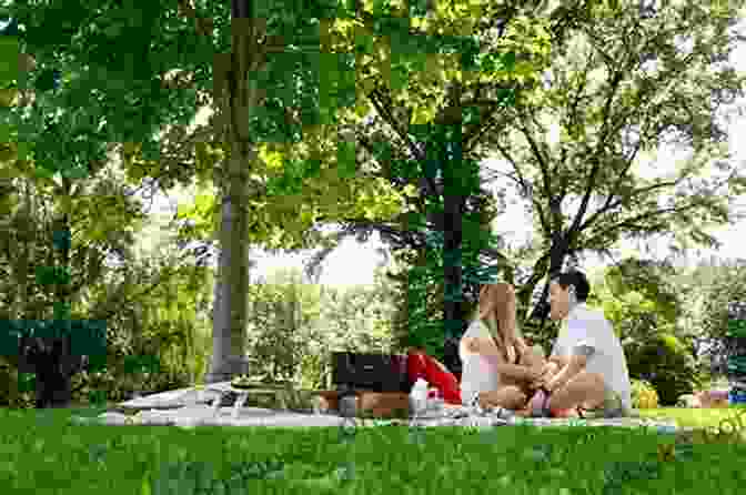 A Couple Enjoying A Romantic Picnic In The Park Date Nights At Home: An Easy Guide To Over 52 Affordable Dating Ideas Romance Your Partner Without Leaving The House