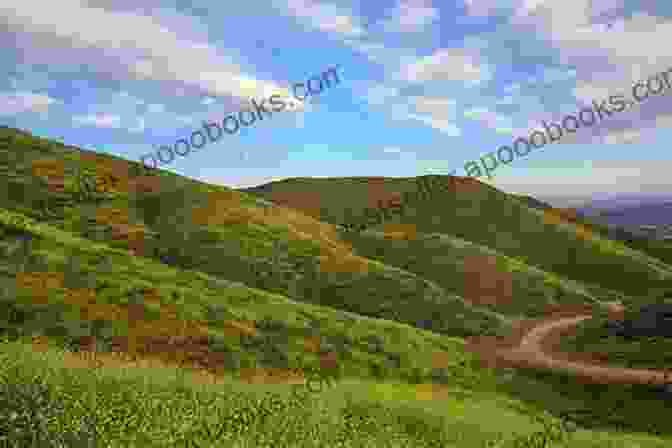 A Panoramic View Of The Verdant Hills And Sparkling Rivers Of Pern The Chronicles Of Pern: First Fall