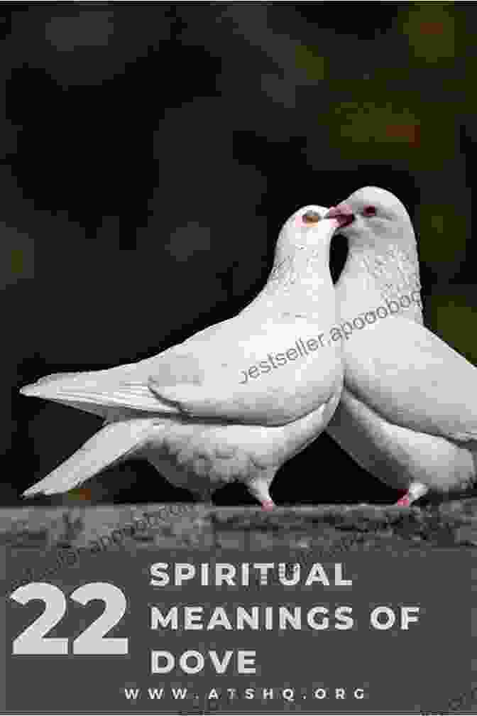 A Serene Image Of A Dove Representing The Symbolism Of Forgiveness And Release Hugs Love And Great Karma Cindy J Smith