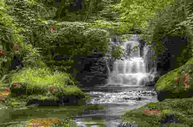 A Serene Image Of A River Flowing Through A Lush Landscape, Symbolizing The Fluidity And Interconnectedness Of The Novel's Themes. The Taste Of River Water: New And Selected Poems