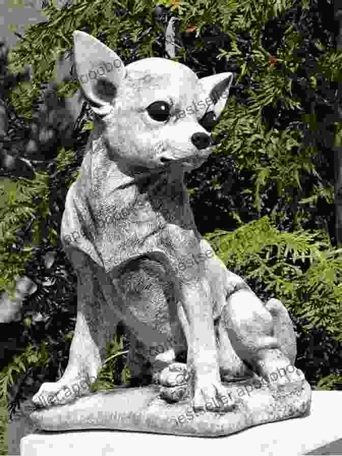 A Statue Of A Chihuahua Dog. Back Home (A Chihuahua Dog Story)