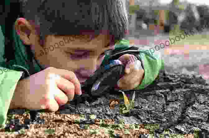 A Young Child Conducting An Experiment With A Magnifying Glass Energy All Around (My Science Library)