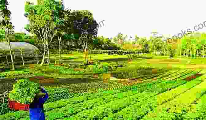 Agricultural Landscape In The Philippines Agricultural Policies In The Philippines (OECD Food And Agricultural Reviews)