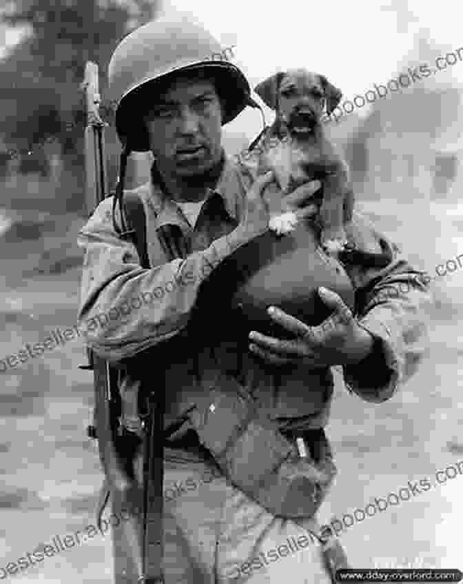 An American Soldier Holds A Stray Dog In His Arms During World War II. Sergeant Stubby: How A Stray Dog And His Best Friend Helped Win World War I And Stole The Heart Of A Nation