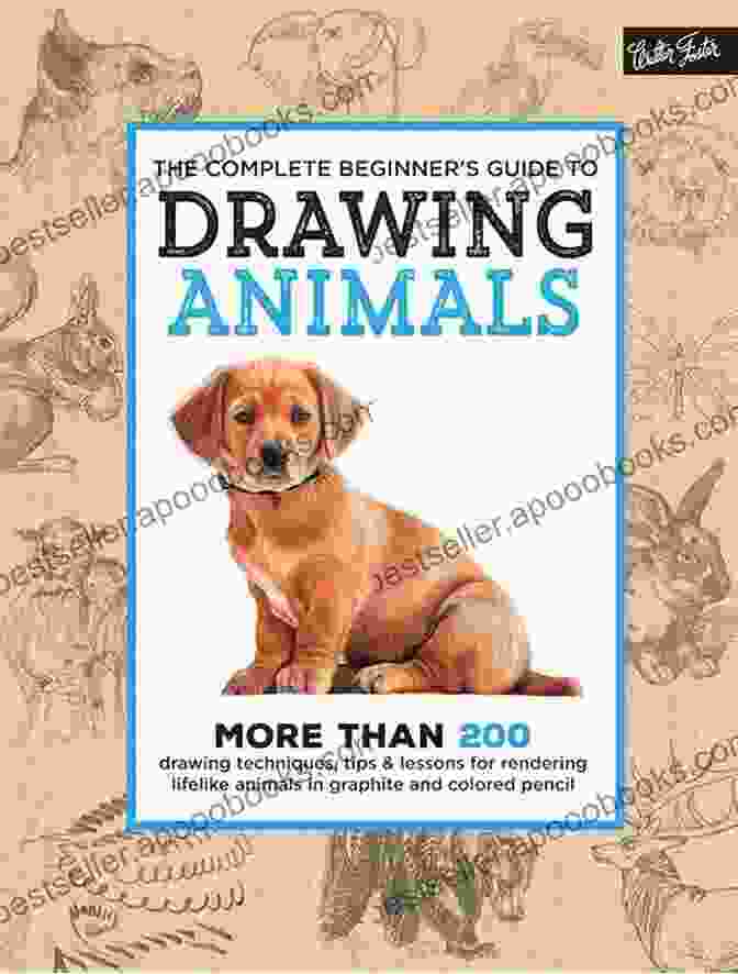 Animal Anatomy Diagram HOW TO DRAW ANIMALS: Essential Guide On How To Draw Animals