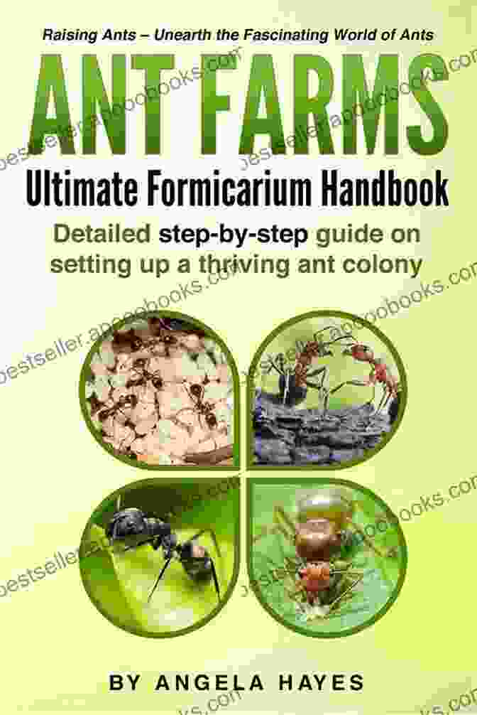 Ant Farms Ultimate Formicarium Handbook Book Cover Ant Farms: Ultimate Formicarium Handbook