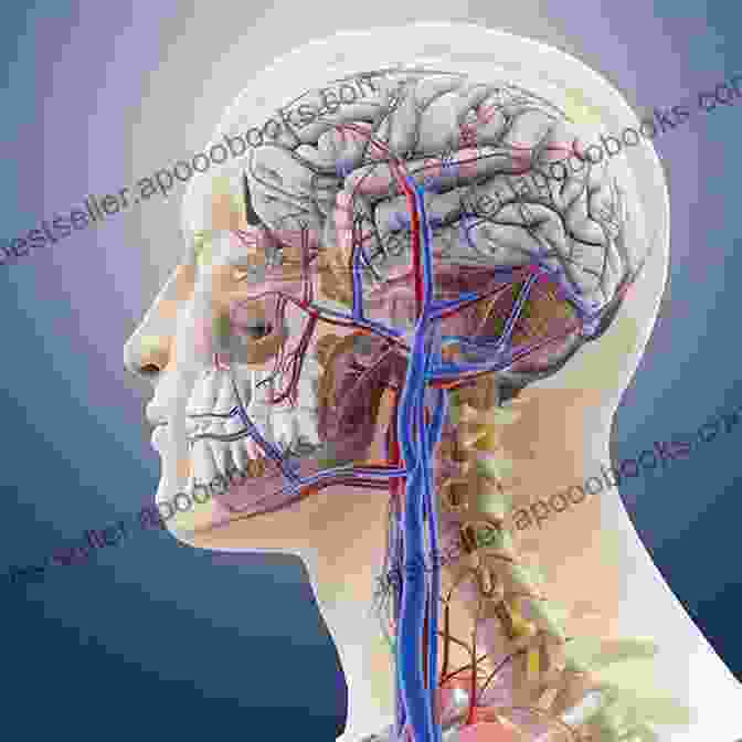 Artwork Depicting The Intricate Anatomy Of The Head And Neck, Highlighting The Interconnectedness Of The Ear, Nose, And Throat. Practical Otorhinolaryngology Head And Neck Surgery: Diagnosis And Treatment