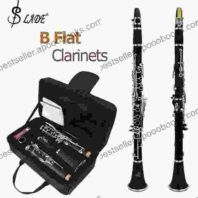 Clarinet In Black Body With Silver Keys RecFree Download Guide: How To Play The Woodwind Musical Instrument: Start To Play The RecFree Download