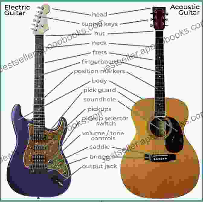 Diagram Of Guitar Anatomy Alfred S Basic Guitar Theory 1 2: The Most Popular Method For Learning How To Play (Alfred S Basic Guitar Library)