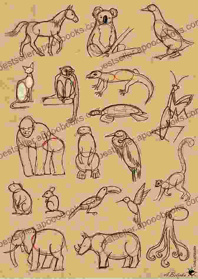 Drawing Techniques For Animals HOW TO DRAW ANIMALS: Essential Guide On How To Draw Animals