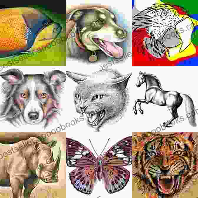 Drawings Of Various Animals HOW TO DRAW ANIMALS: Essential Guide On How To Draw Animals