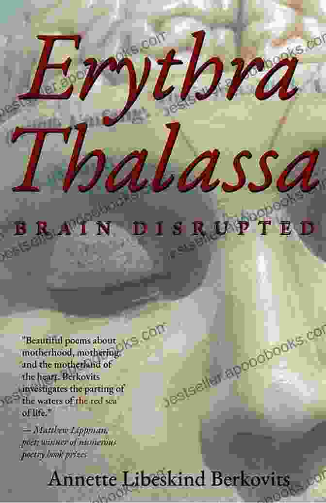 Erythra Thalassa Brain Disrupted Book Cover With A Vibrant Abstract Illustration Representing The Disruption Of Language And Identity Erythra Thalassa: Brain Disrupted Annette Libeskind Berkovits