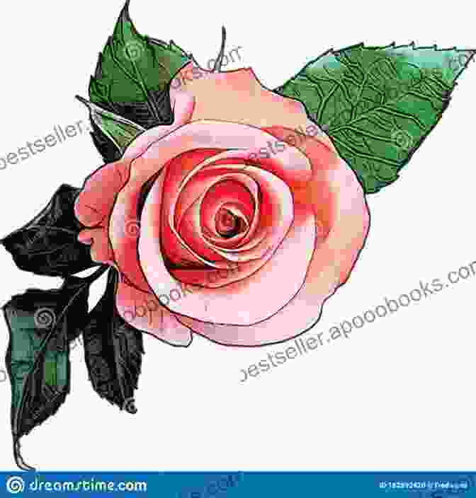 Exquisite Illustration Of A Blooming Rose, Its Petals Gently Unfurling Purpose Of Flowers: Haiku And Illustrations