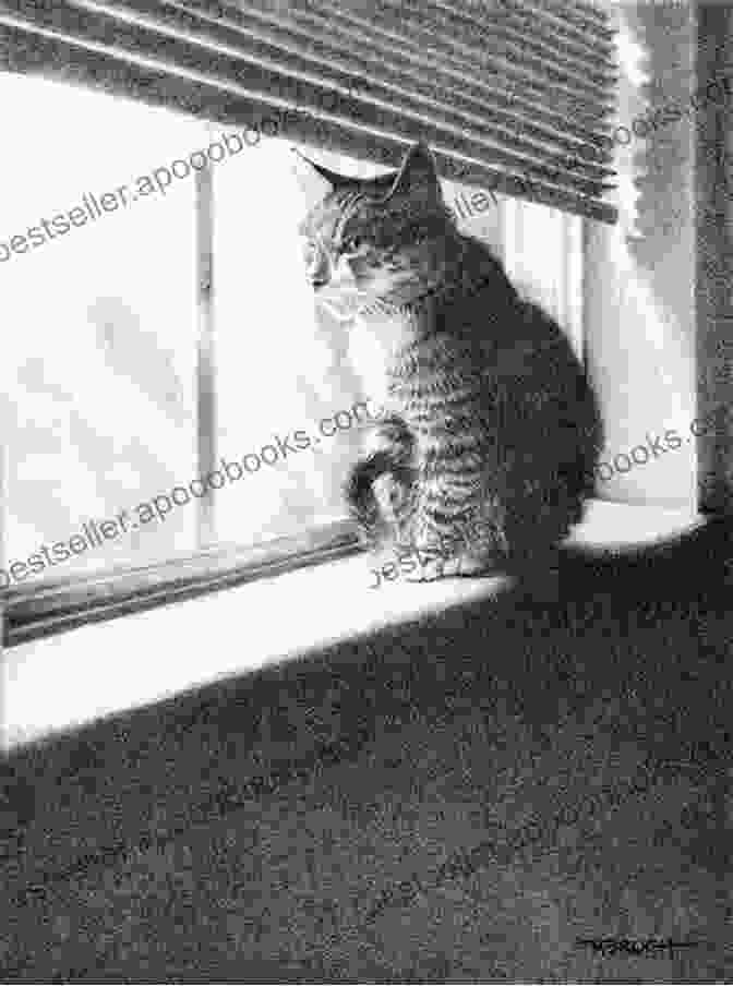 Freda Standing By A Window, Gazing At A Beautiful Sunset, Contemplating The Ephemeral Nature Of Time Released Anita Brookner