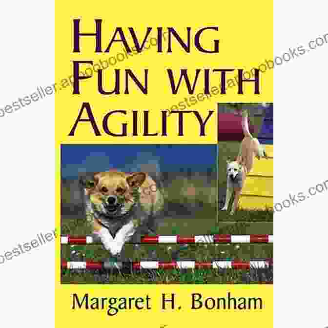 Having Fun With Agility Paperback Book Cover Having Fun With Agility (Howell Dog Of Distinction (Paperback))