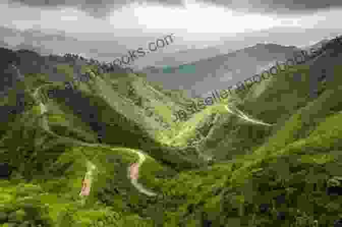 Hikers On A Scenic Trail Surrounded By Lush Greenery And Mountain Peaks Trails Around Kelowna British Columbia