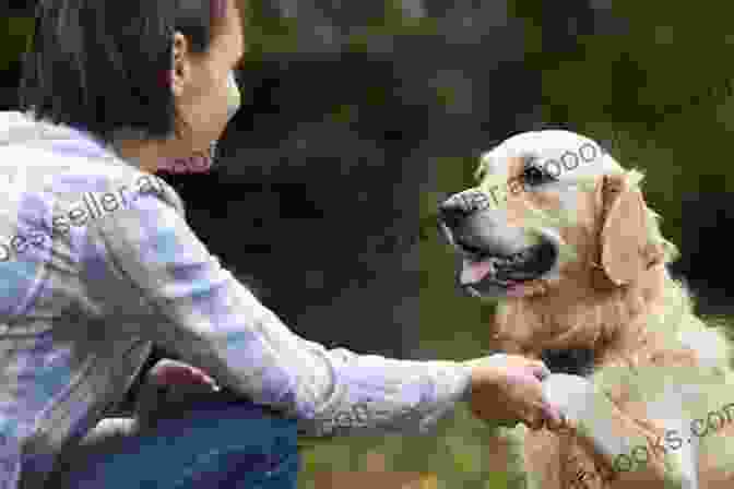 Image Of A Dog And Its Owner Communicating. What Dogs Hear: Understanding Canine Hearing And Behavior From Puppy To Senior