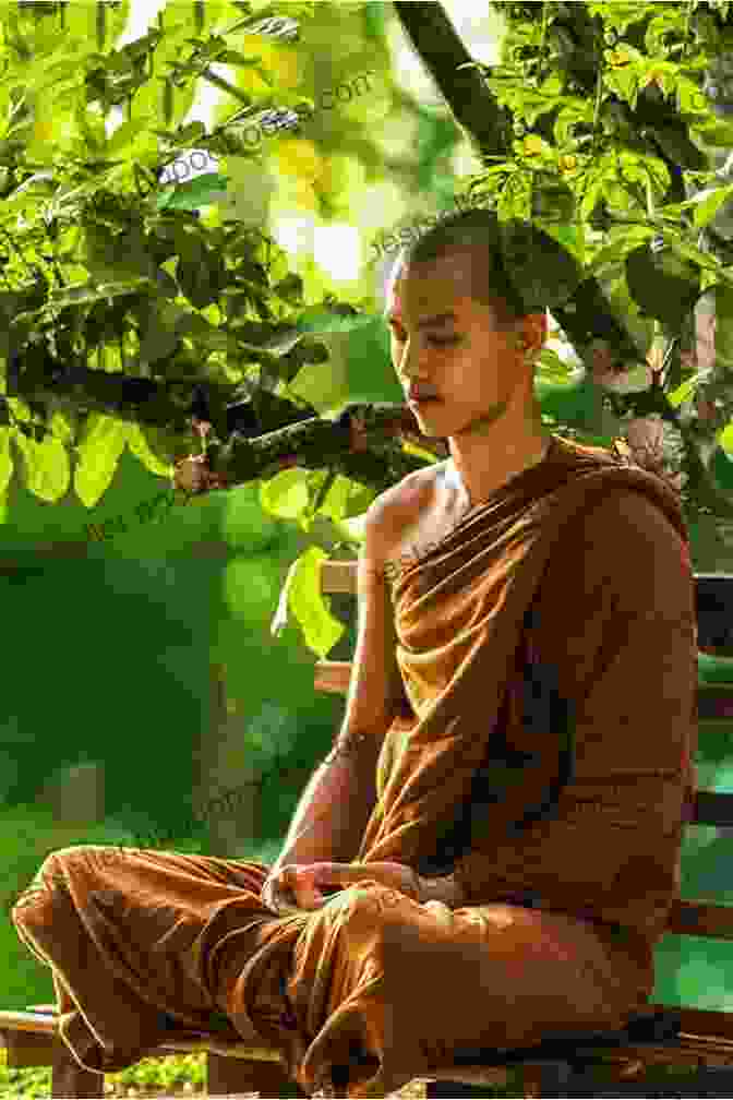 Image Of A Zen Master Meditating In A Serene Setting Chan Instructions Anne Easter Smith