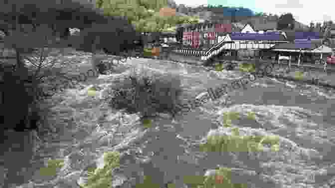 Image Of The Protagonist Standing Defiantly Against The Rising Floodwaters The Flood Annette Lacroix