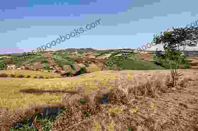 Panoramic View Of A Traditional Sicilian Village Nestled Amidst Rolling Hills And Olive Groves The Reverse Immigrant (Alfred Zappala On Sicily 1)