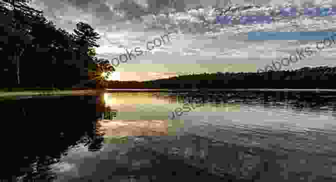 Panoramic View Of Walden Pond, With A Vibrant Sunset Sky Walden By Haiku Ian Marshall