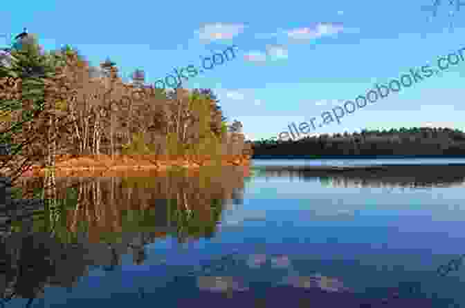 Peaceful View Of Walden Pond With A Lone Figure Sitting On A Bench Walden By Haiku Ian Marshall