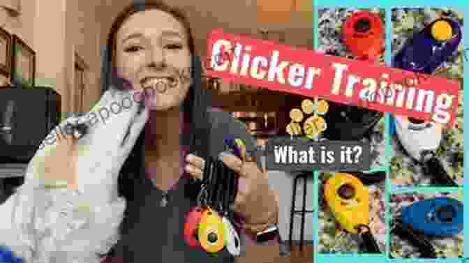 Positive Reinforcement Using Clicker Training The Bird School More Clicker Training For Parrots And Other Birds Including: How To Do Medical Training (The Bird School Clicker Training 2)