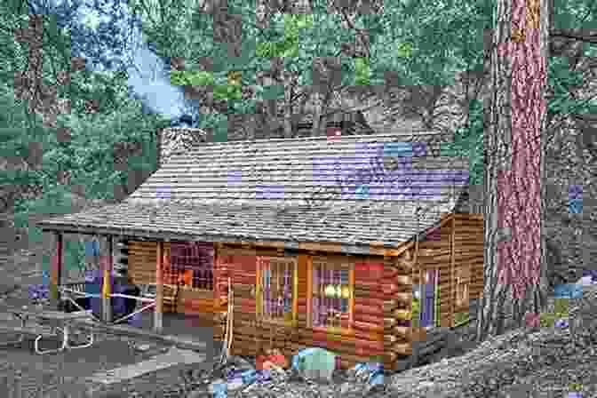 Rustic Log Cabin Nestled Amidst Trees Log Cabin Variations Angela Davids