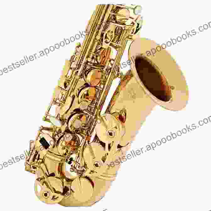 Saxophone In Gold Lacquer RecFree Download Guide: How To Play The Woodwind Musical Instrument: Start To Play The RecFree Download