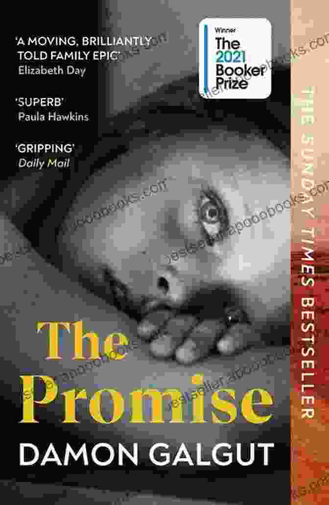 The Promise Book Cover The Promise: A Novel Ann Weisgarber