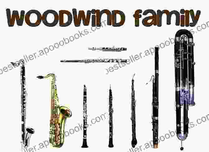 Timeline Depicting The Evolution Of Woodwind Instruments RecFree Download Guide: How To Play The Woodwind Musical Instrument: Start To Play The RecFree Download