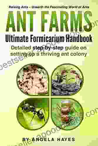 Ant Farms: Ultimate Formicarium Handbook