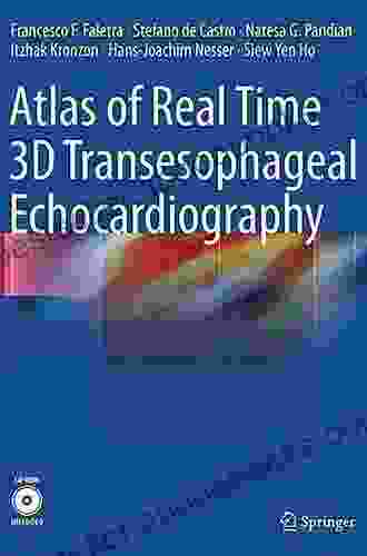 Atlas Of Real Time 3D Transesophageal Echocardiography