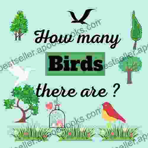 How Many Birds There Are: Birds Counting For Kids Toddlers Preschool Kindergarten With Coloring Pages Images Learn The Numbers From 0 To 9 ( Gift For Birthday Christmas )