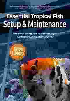 Essential Tropical Fish Setup Maintenance: The simplified guide to setting up your tank and looking after your fish