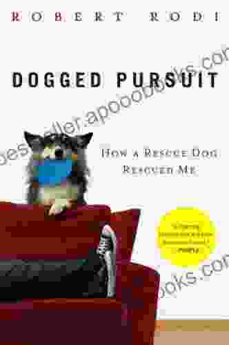 Dogged Pursuit: How A Rescue Dog Rescued Me