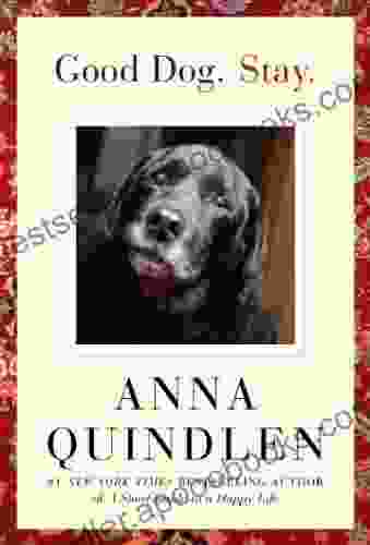 Good Dog Stay Anna Quindlen