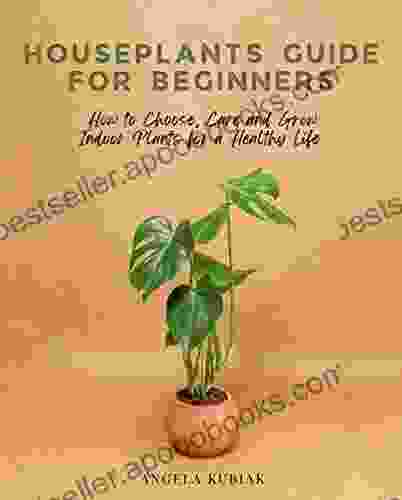 Houseplants Guide For Beginners: How To Choose Care And Grow Indoor Plants For A Healthy Life