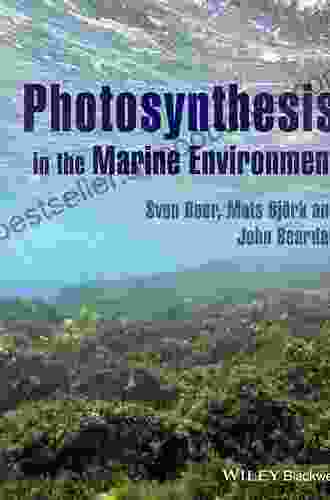 Photosynthesis In The Marine Environment