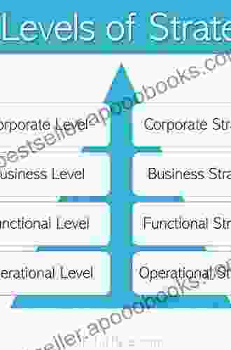 Theoretical Foundations of Homeland Security: Strategies Operations and Structures