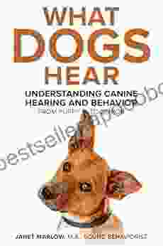 What Dogs Hear: Understanding Canine Hearing And Behavior From Puppy To Senior