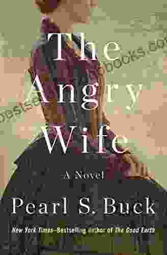 The Angry Wife: A Novel