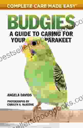 Budgies: A Guide To Caring For Your Parakeet (Complete Care Made Easy)